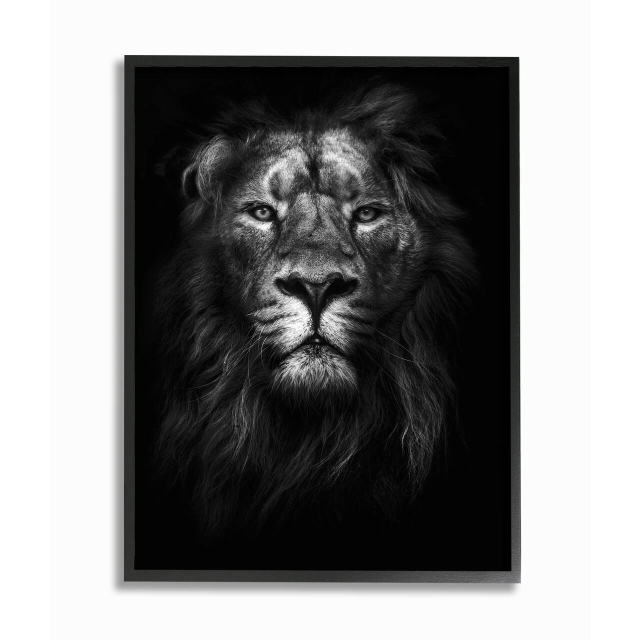 Stupell Industries King Of The Jungle Lion Portrait Black Framed Wall Art